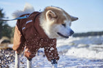 Дощовик комбінезон для собак Hurtta Mudventure Overall ECO Помаранчевий