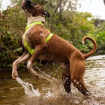 Шлея для собак Zee.Dog - Neopro Lime H-Harness