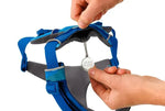 Повсякденна шлейка для собак Ruffwear Front Range® синьо-блакитний