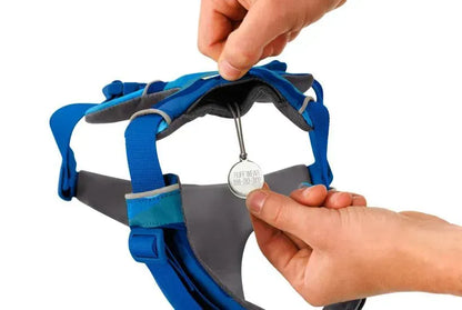 Повсякденна шлейка для собак Ruffwear Front Range® синьо-блакитний