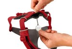 Повсякденна шлейка для собак Ruffwear Front Range® червоний