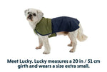 Дощовик для собак Ruffwear Sun Shower синьо-оливковий