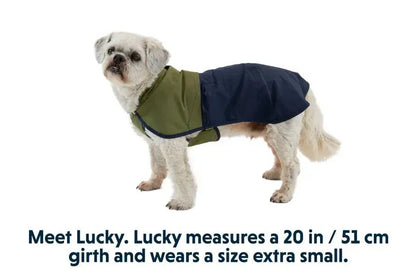 Дощовик для собак Ruffwear Sun Shower синьо-оливковий