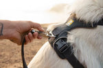 Повсякденна шлейка для собак Ruffwear Front Range® сірий