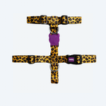Шлея для собак Zee.Dog - Honey H-Harness
