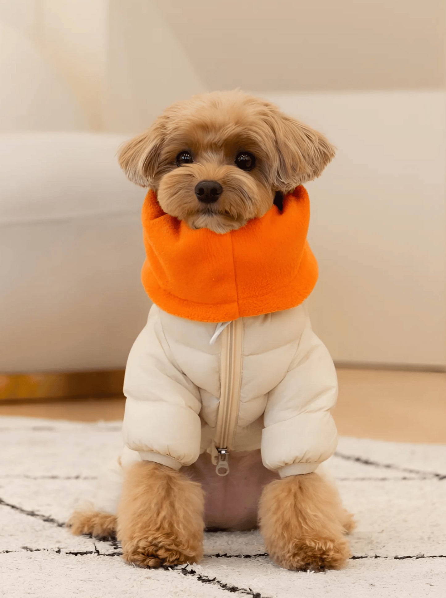 Комбінезон для собак SNOOD PADDING JUMPSUIT PAYD-JP2158 Puppia