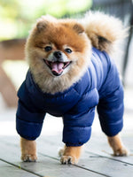Комбінезон для собак Puppia Ultralight Jumpsuit APAPD-JM1672 Синій