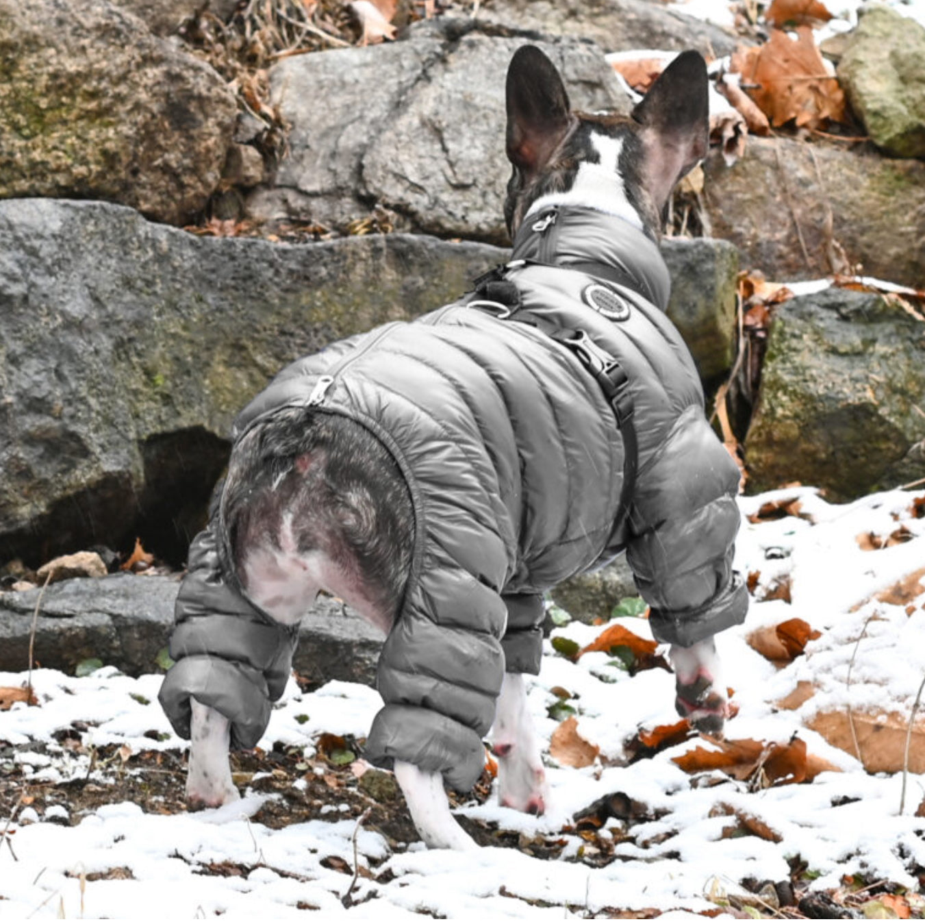 Комбінезон для собак Puppia Ultralight Jumpsuit APAPD-JM1672 Сірий
