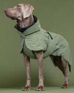 Тепла попона для собак Winter Jacket Green Paikka