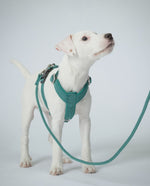 Повідець для собак Visibility Rope Leash Emerald Paikka