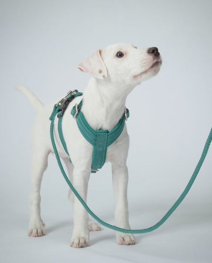 Повідець для собак Visibility Rope Leash Emerald Paikka