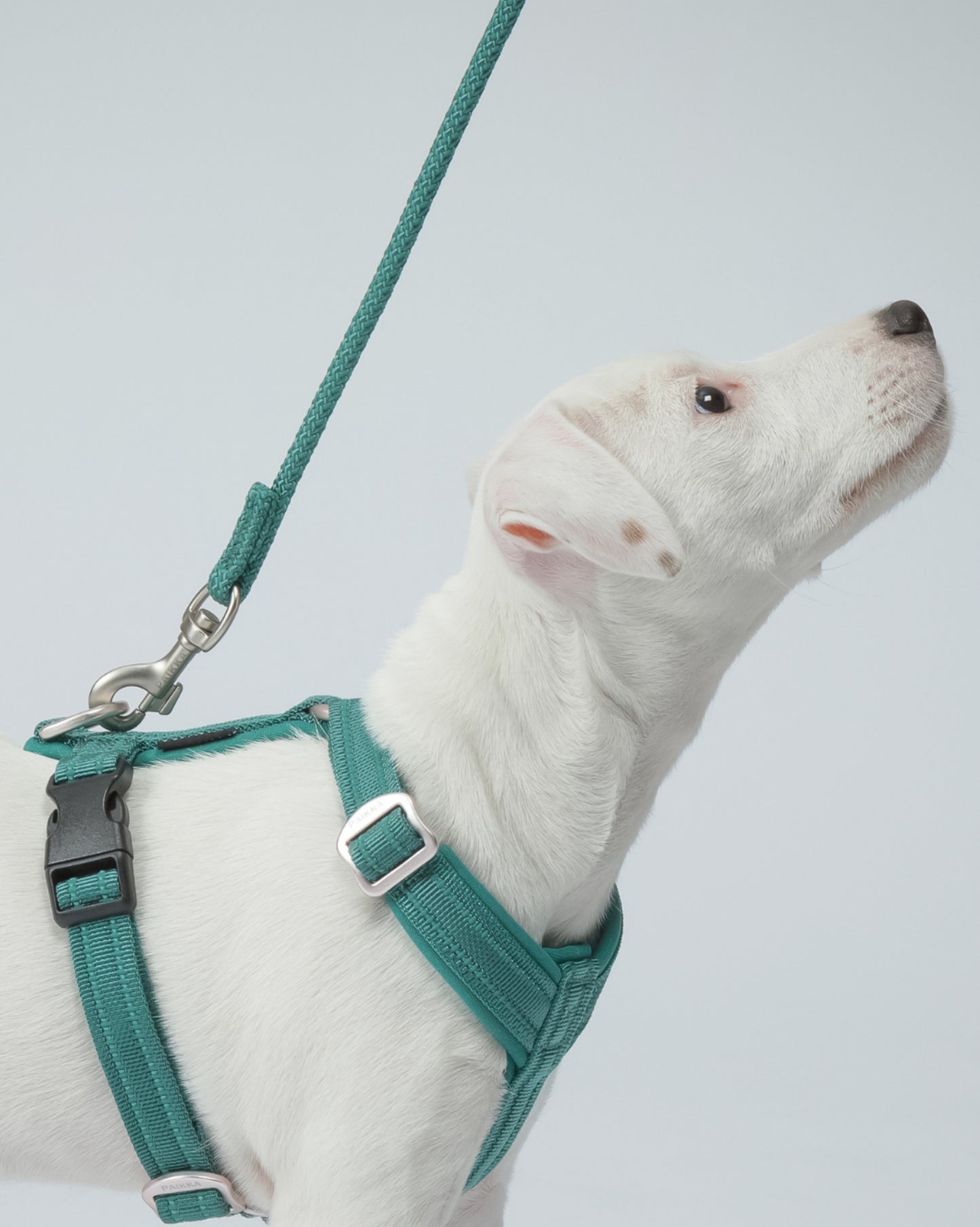 Повідець для собак Visibility Rope Leash Emerald Paikka