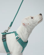 Повідець для собак Visibility Rope Leash Emerald Paikka