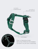 Шлея для собак Easy Harness Emerald Paikka