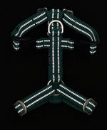 Шлея для собак Easy Harness Emerald Paikka