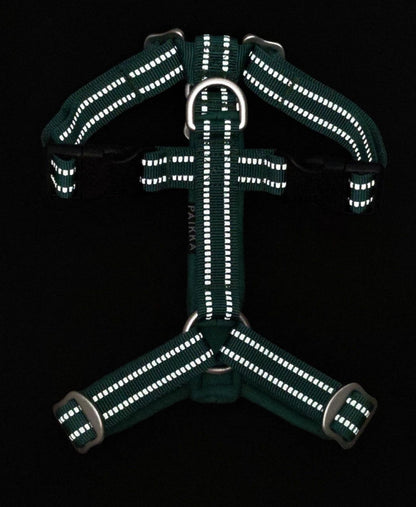Шлея для собак Easy Harness Emerald Paikka