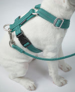 Шлея для собак Easy Harness Emerald Paikka