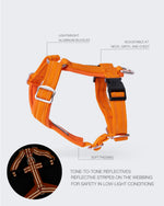 Шлея для собак Easy Harness Orange Paikka