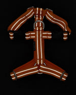 Шлея для собак Easy Harness Orange Paikka