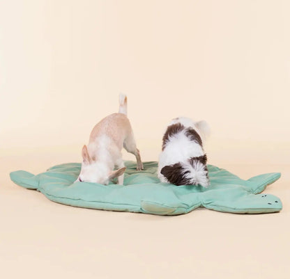 Килимок для собак пошуковий Turtle Playmate Paikka