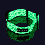 Нашийник для собак Glow Collar 2.0 Paikka