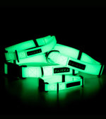 Нашийник для собак Glow Paikka