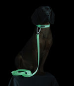 Нашийник для собак Glow Collar Pink Paikka