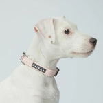 Нашийник для собак Glow Collar Pink Paikka