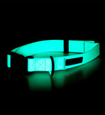 Нашийник для собак Glow Collar Aqua Paikka