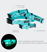 Нашийник для собак Glow Collar Aqua Paikka