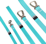 Повідець для собак Glow Leash Aqua 180 см Paikka
