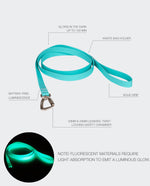 Повідець для собак Glow Leash Aqua 180 см Paikka