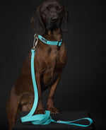 Повідець для собак Glow Leash Aqua 180 см Paikka