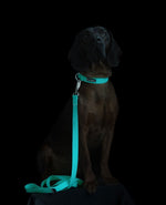 Повідець для собак Glow Leash Aqua 180 см Paikka