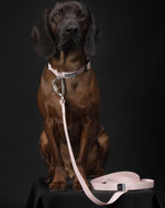 Повідець для собак Glow Leash Pink 180 см Paikka