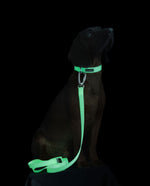 Повідець для собак Glow Leash Pink 180 см Paikka