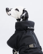 Попона для собак осінь/зима Softshell Black Paikka