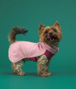 Комбинезон для собак Rain Suit Neon Paikka