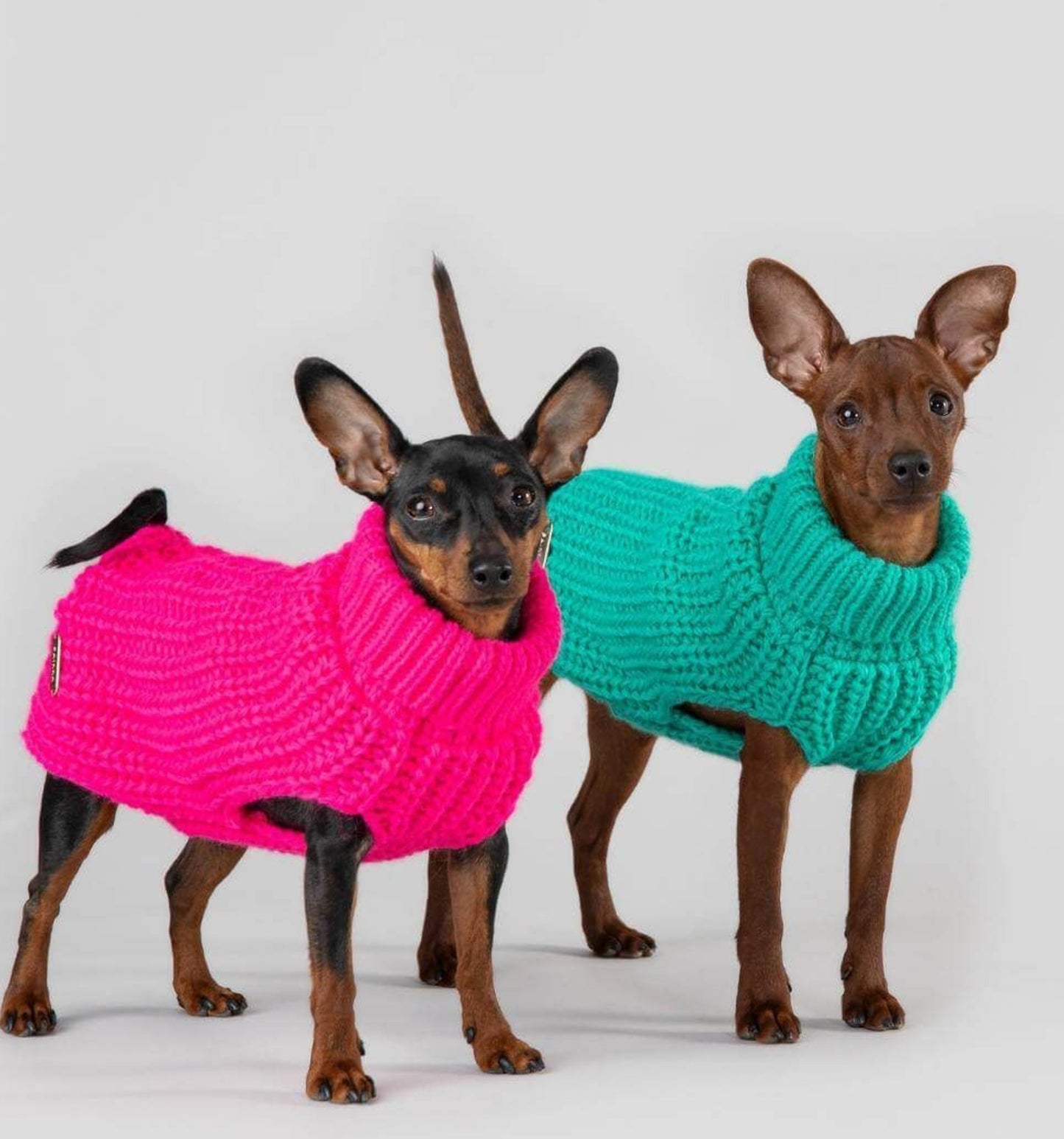 Светр для собак Sweater Pink Paikka