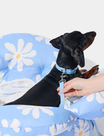 Автокрісло-переноска для собак і котів Vetreska Daisy з ременем безпеки, блакитна у ромашку