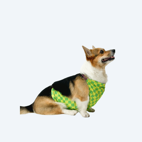 Напузник для коргі - green