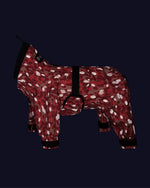 Комбінезон для собак Rain Suit Red Paikka