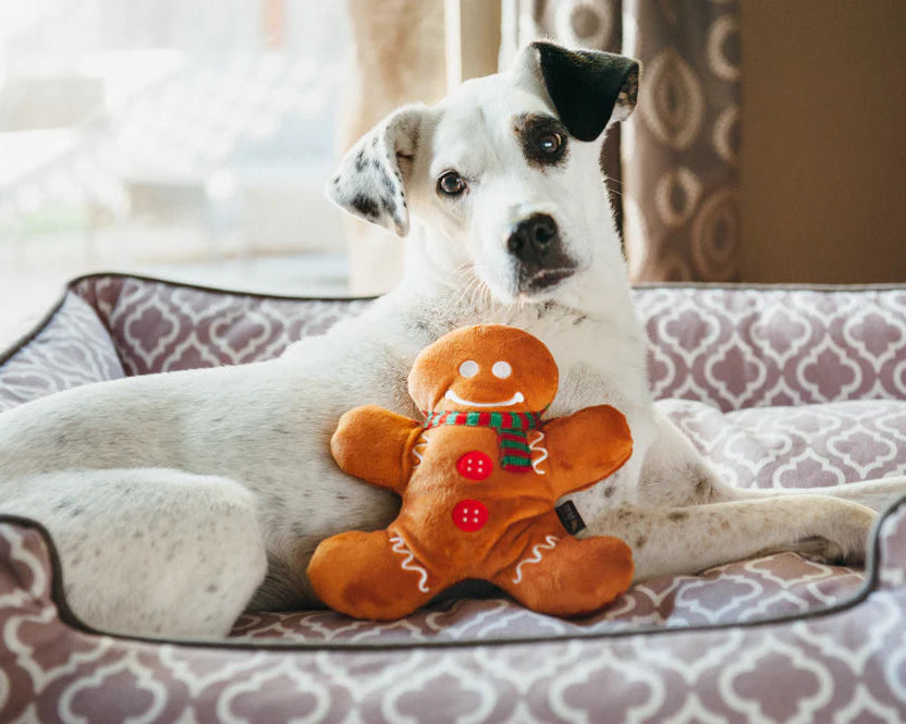 Іграшка для собак Holiday Classic – Gingerbread Man Pet Play