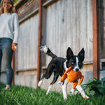 Іграшка для собак Holiday Classic – Whole Turkey Pet Play