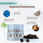 Вітамінний комплекс з пробіотиком SuperFlora Probiotic Natural Dog Company, 45 шт