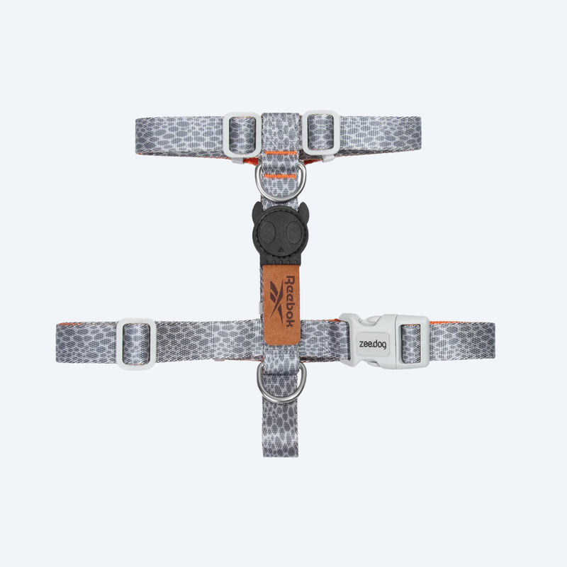 Шлей для собак светоотражающий Zee.Dog - Nox Sidus 