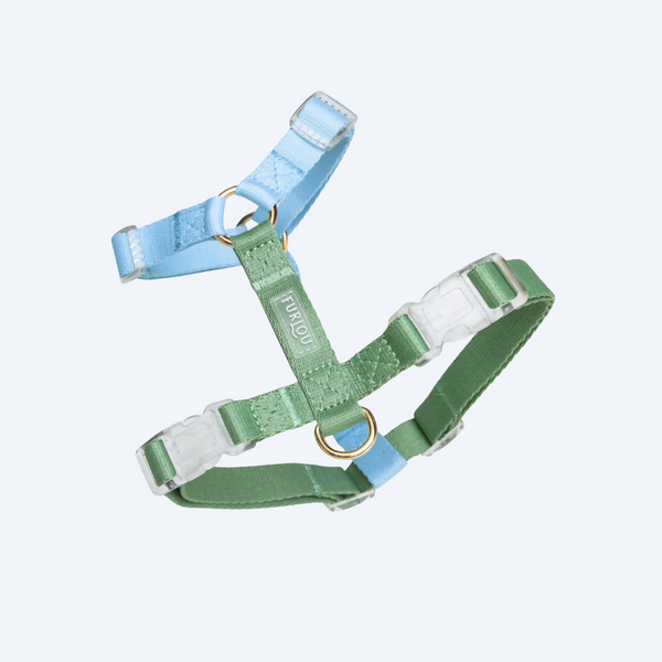 Шлея для собак FURLOU Blue and Sage Green