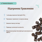 Вітамінний комплекс з пробіотиком SuperFlora Probiotic Natural Dog Company, 45 шт