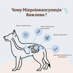 Вітамінний комплекс з пробіотиком SuperFlora Probiotic Natural Dog Company, 45 шт