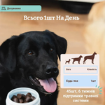 Вітамінний комплекс з пробіотиком SuperFlora Probiotic Natural Dog Company, 45 шт